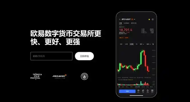 TOpay钱包下载平台展示图